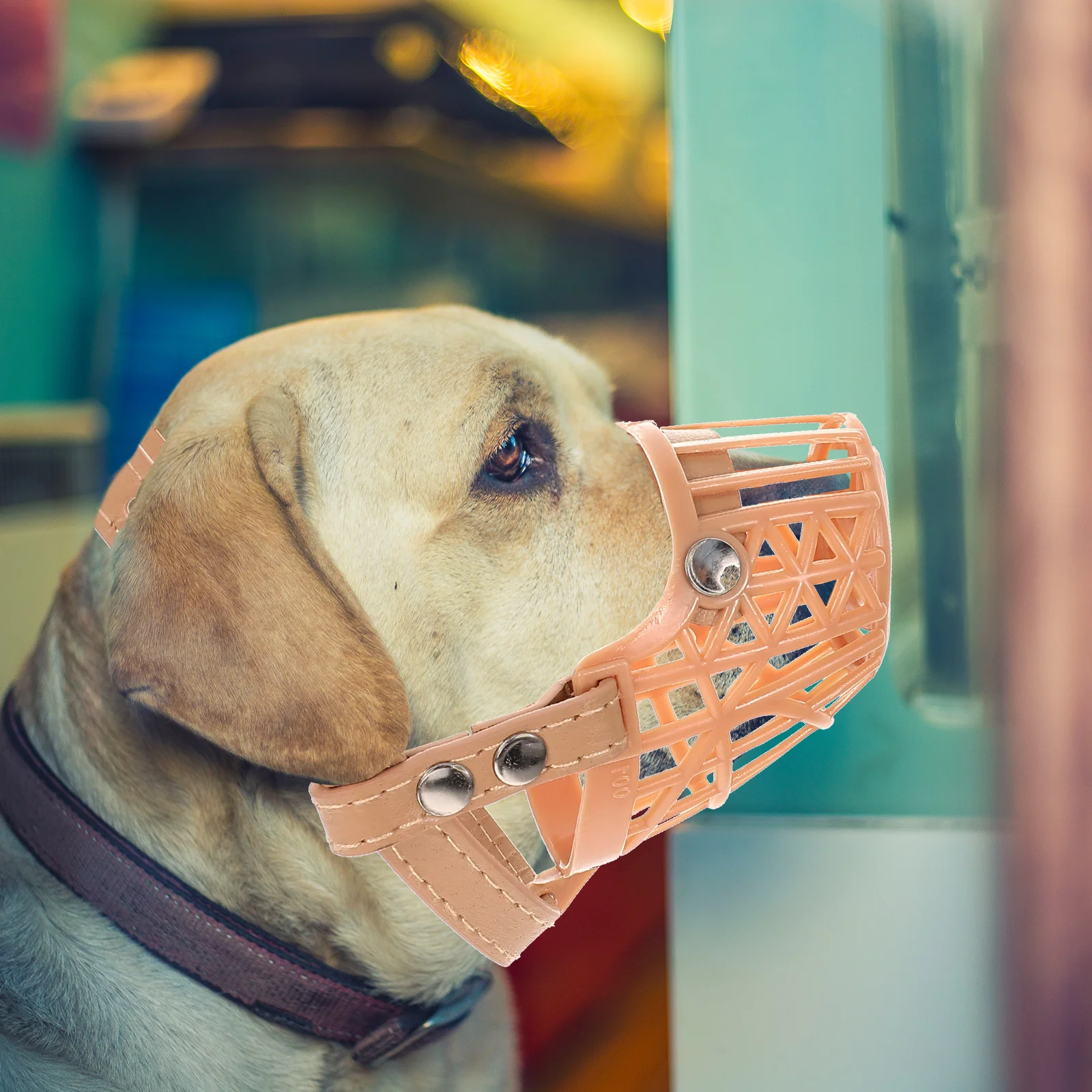 Pet Dog Puppy Plastic Basket Type Adjustable Training Muzzle Anti-biting Dog Muzzle for Biting and Barking Control Size XS
