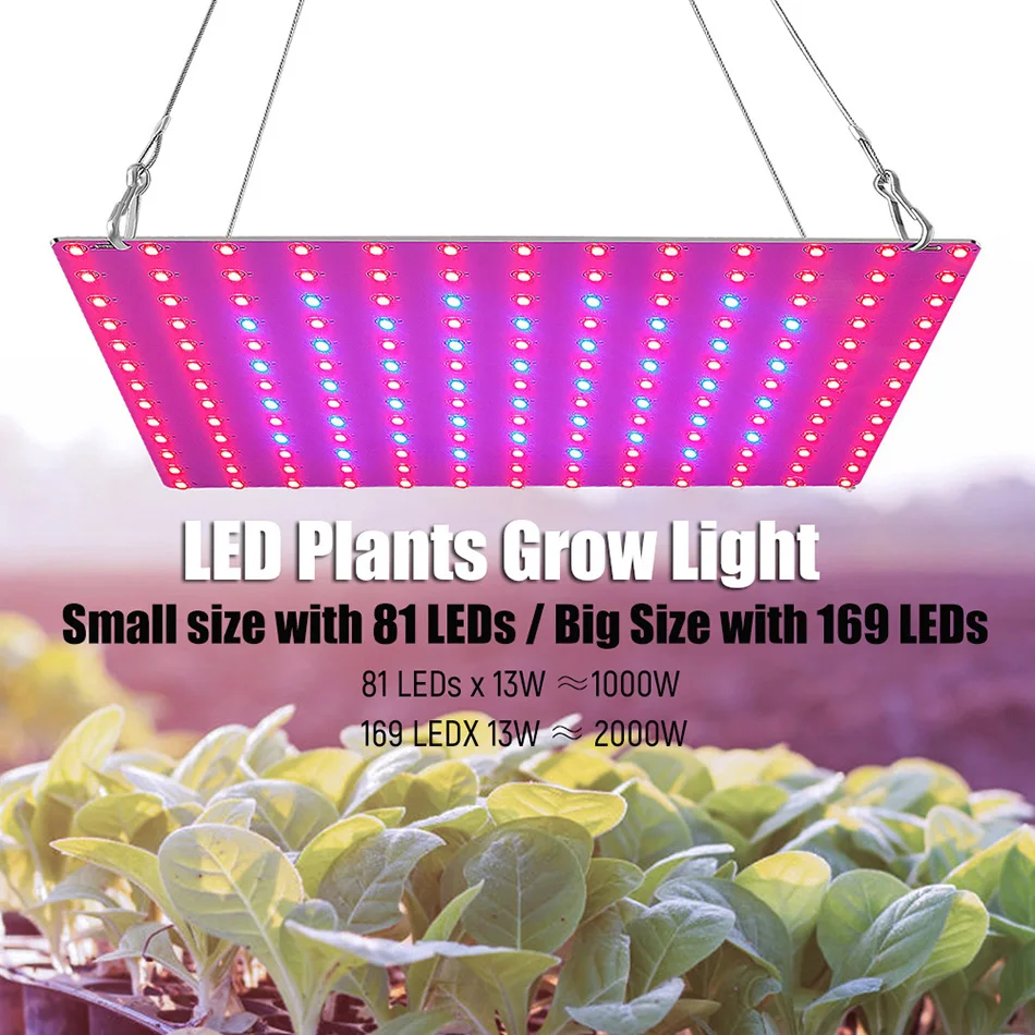 퀀텀 보드 LED 식물 성장등 풀 스펙트럼 온실 재배등 온실 채소 식물 묘목 보조등