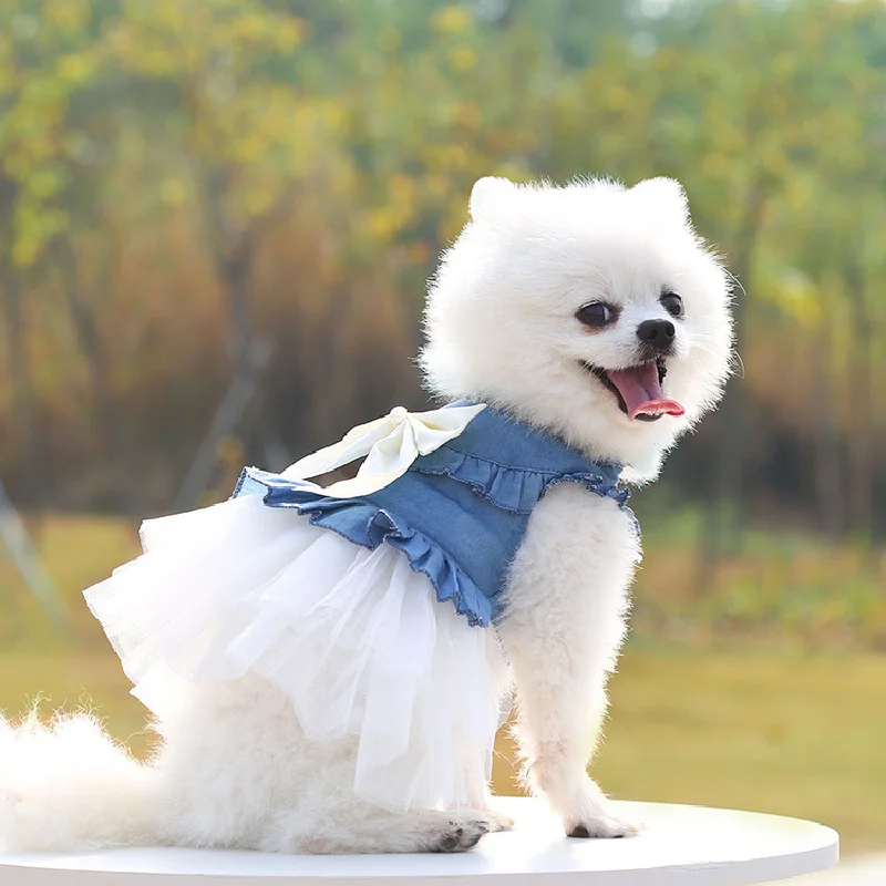 Summer Dog Clothes Pet Dresses for Small Dogs Pomeranian Chihuahua Puppy Kitten Skirt Clothing for Medium Dogs Product Supplies