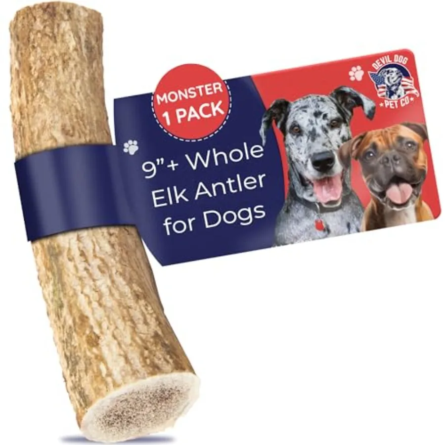 

. Elk Antlers for Dogs Monster 9"+ 1 Pack Grade A Long Lasting Chew for Aggressive Chewers Premium USA Naturally Shed Antler He