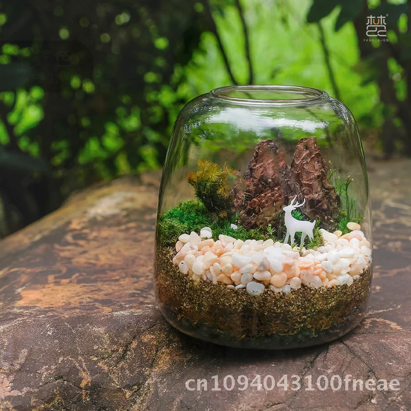 

Ecological Micro Landscape Bottle Fish Tank with Hydroponic Plant Glass Desktop Aquarium Moss-Potted Plant Handmade Transparent