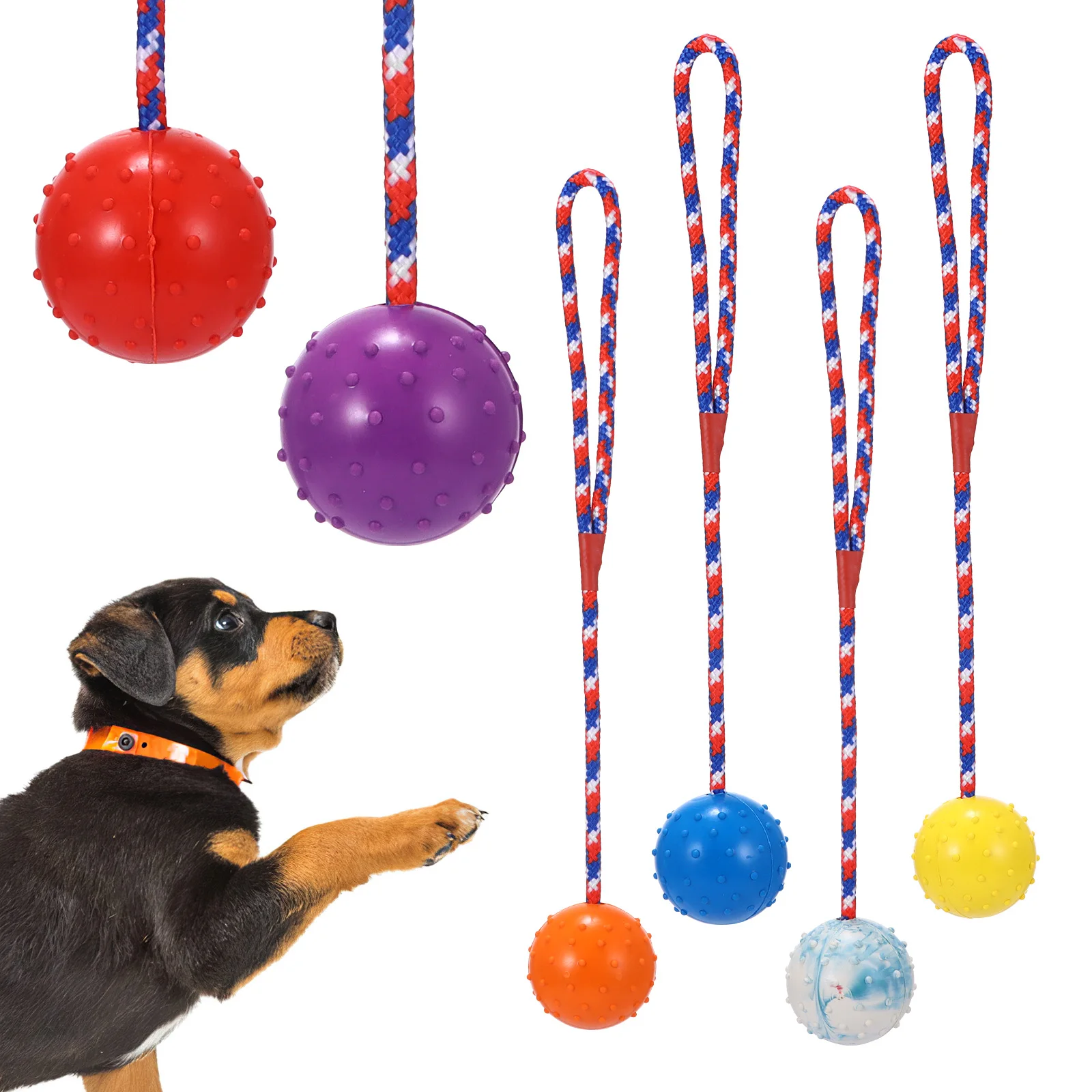 Throwing ball dog, dog ball on a rope, pack of 6 ball ropes, elastic solid natural rubber material, large and small dog throwing