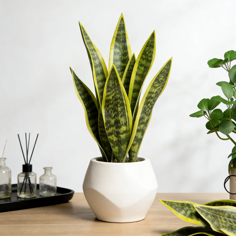32/37cm Künstliche Schlangenpflanzen, künstliche Tiger-Piran-Sukkulenten, Kunststoff-Sansevieria für Zuhause, Balkon, Büro, Geschenk, Dekoration – Detail 2
