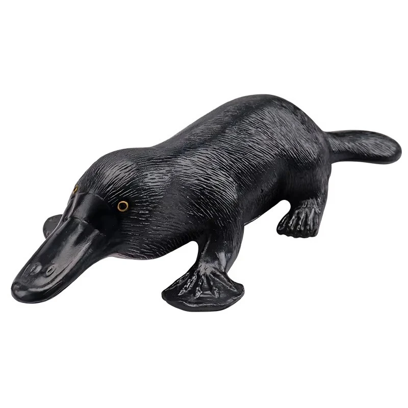 Plastic Platypus Simulation Model Biomedical Educational Teaching Aid