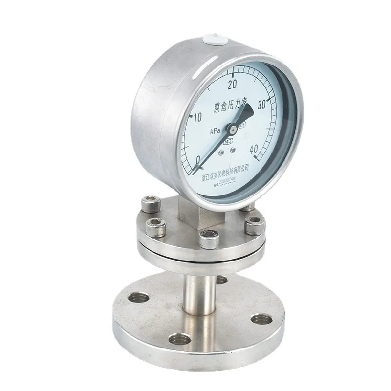 Stainless Steel Diaphragm Pressure Gauge Flanged YTF-100H/MF/F4 Shanghai Instrument Manufacturer 4MPA Compression High Pressure