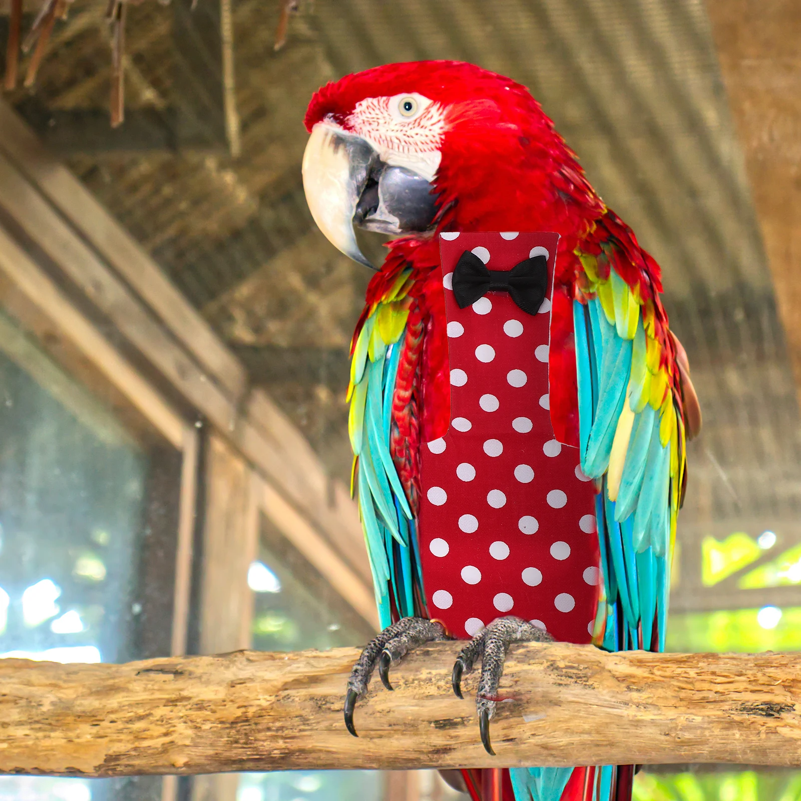 

2Pcs Parrot Diaper Creative Delicate Appearance Fine Workmanship High Class Material Washable Design Exquisite Pigeon Nappy