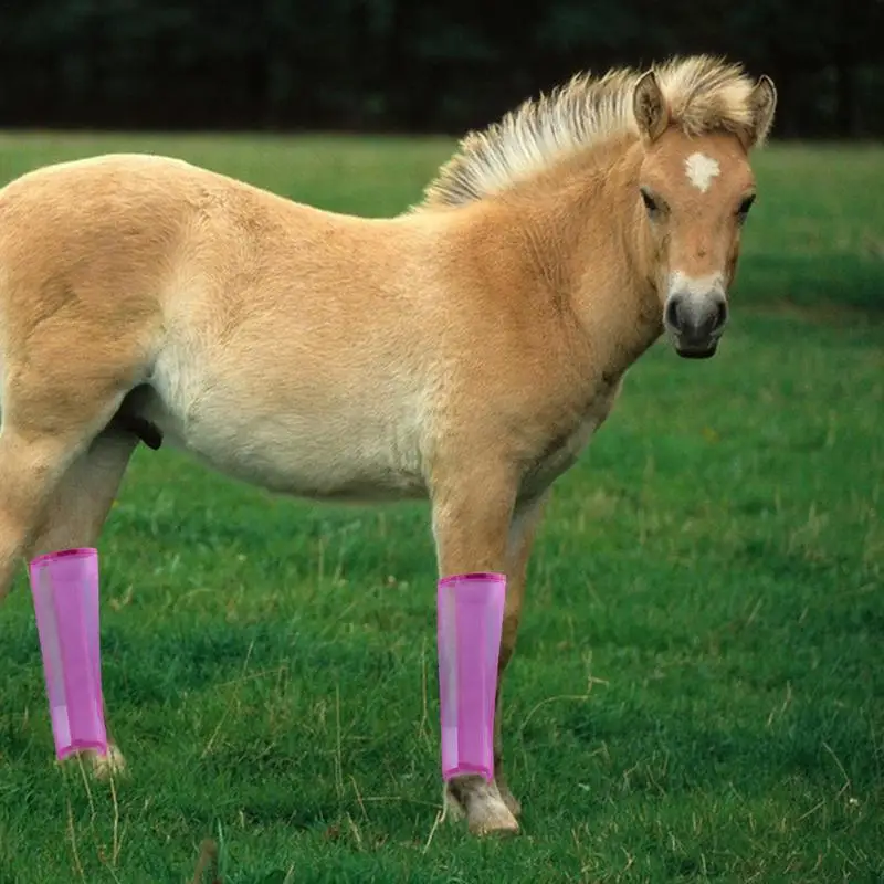 Bottes de cheval réutilisables pour la protection contre les mouches, design respirant, leggings d'équins, 4 pièces