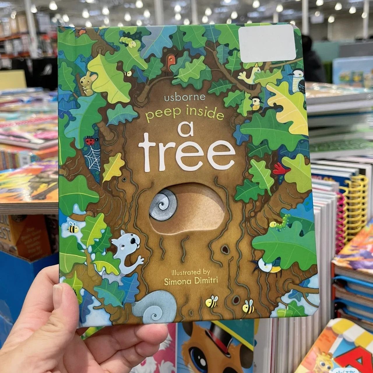 Usborne Peep Inside A Tree English Learning Flap Picture Book Educational 3d Flap Picture Books Children Reading
