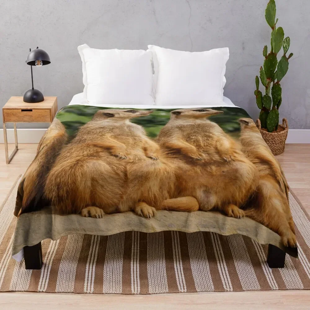

Meerkat 018 Throw Blanket All Season Soft Lightweight Blanket for Home