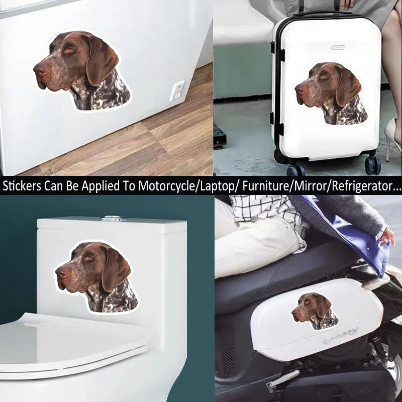 Car Sticker Various Sizes Decal German Shorthaired Pointer Car Sticker Waterproof on Bumper Rear Window Laptop Refrigerator