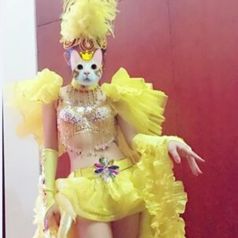 

Samba Stage Performance Costume Ostrich Feather Backboard Opening Feather Carnival Dance Team Performance Wear