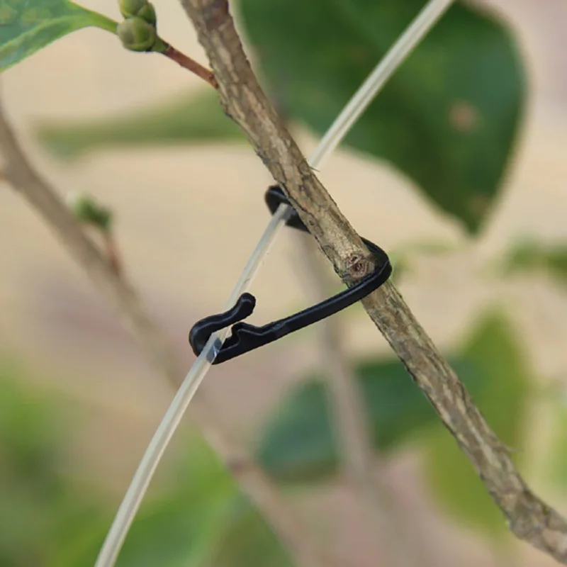 Clips de plástico duradero para vides, gancho de plástico para plantas, 50 piezas