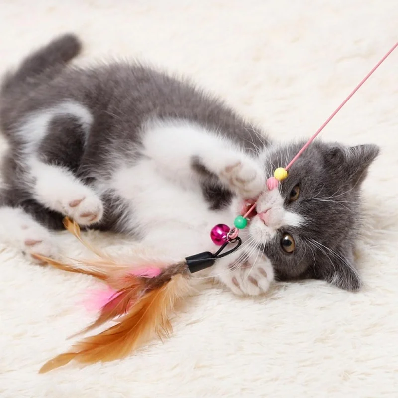 Steel Wire Cat Teasing Stick with Butterfly Feather & Bell Interactive Pet Toy for Kitten Training Entertainment