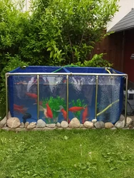Vokanda-Betta Fish Tanks, Marine Aquarium for Koi Fish, Unique  Transparent View Fish Tank