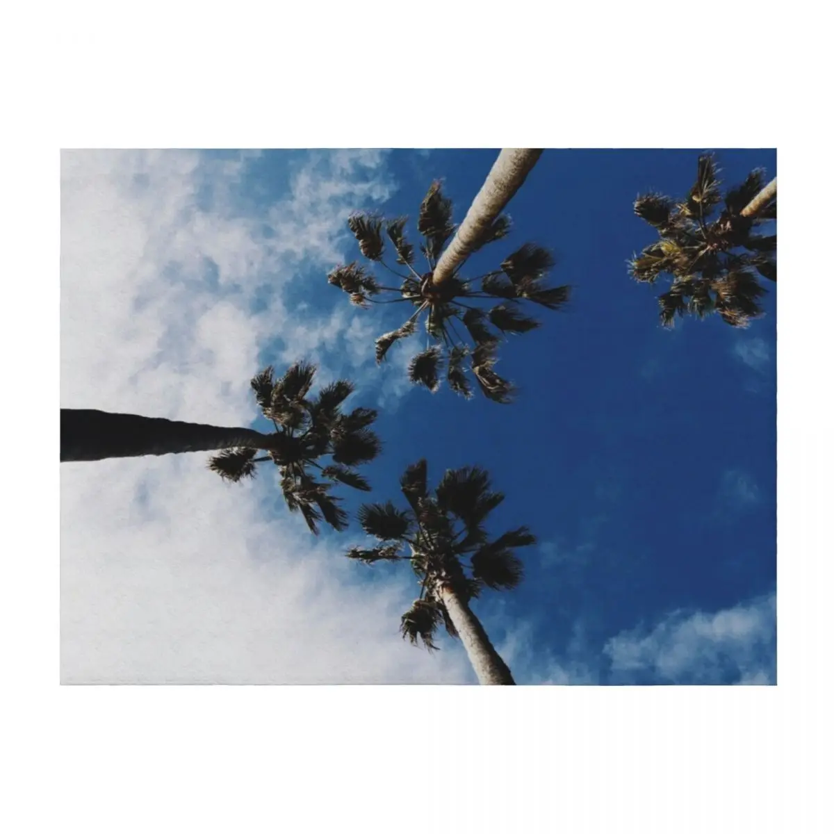 

Tropical Palm Trees in the Blue Sky Throw Blanket heavy to sleep Soft Plaid Luxury Thicken Blankets For Bed Blankets