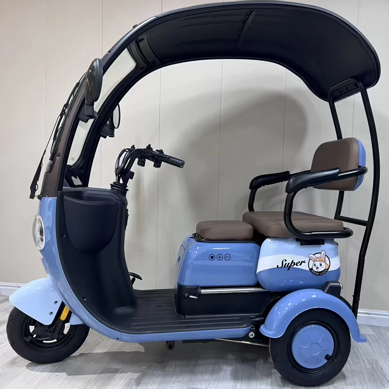 Family-Friendly Electric Tricycle 3 Wheels Rear Hub Motor Aluminum Frame 60V Lead Acid Battery Customizable Color Options Roof