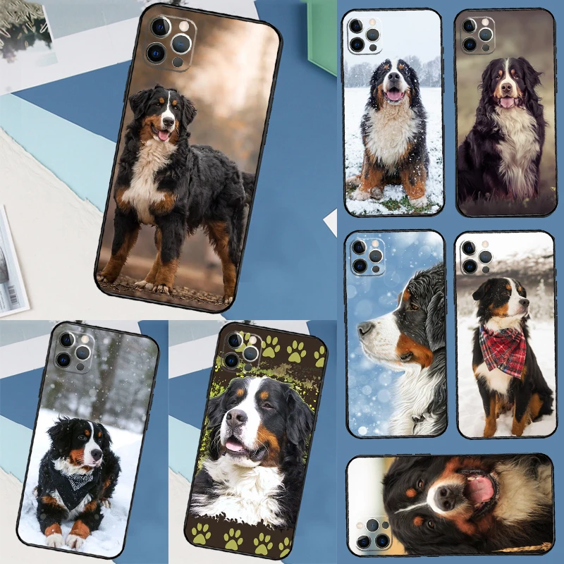 Bernese Mountain Do… - image