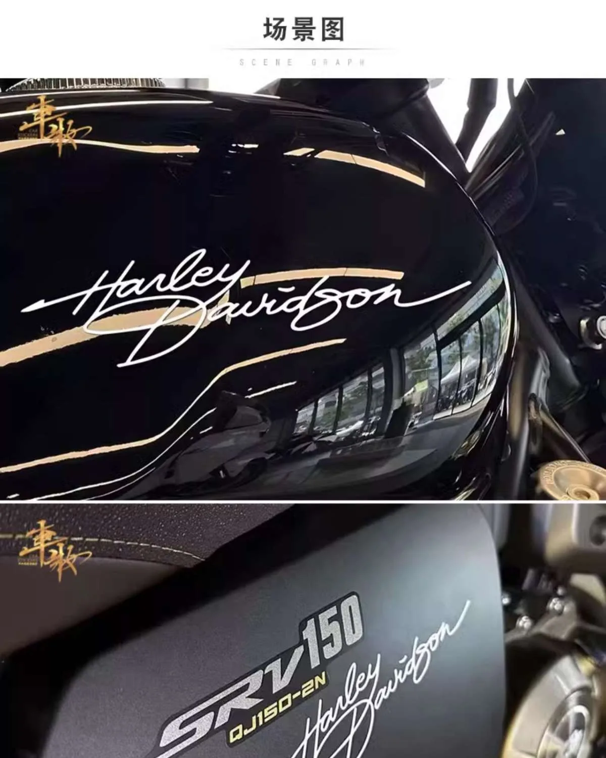 Adesivi Decorativi Personalizzati per Serbatoio Moto Harley Davidson Pan America ADV 1250 PA1250 PANAMERICA