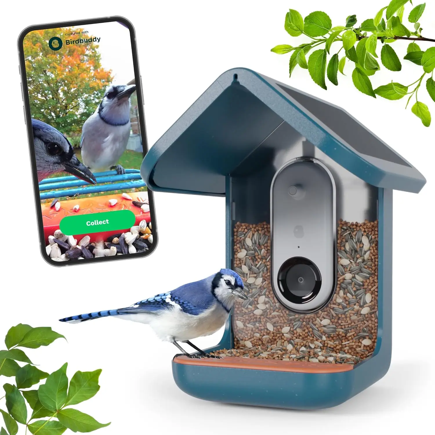 BIRD BUDDY® Original Smart Bird Feeder with Camera Solar Powered.  High Resolution AI Camera for Beautiful Close-up Shots