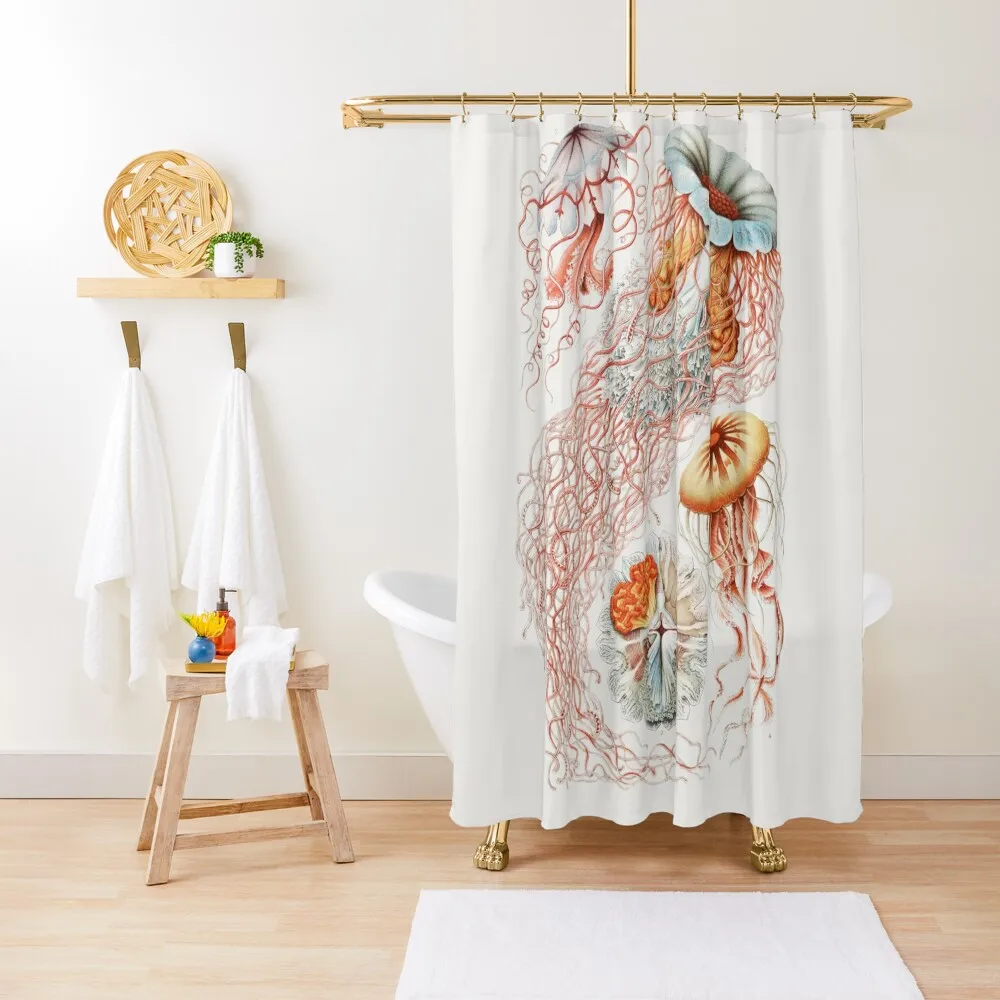 

Jelly Fish by Ernst Haeckel Shower Curtain Waterproof Bathroom Shower For Bathroom Curtain