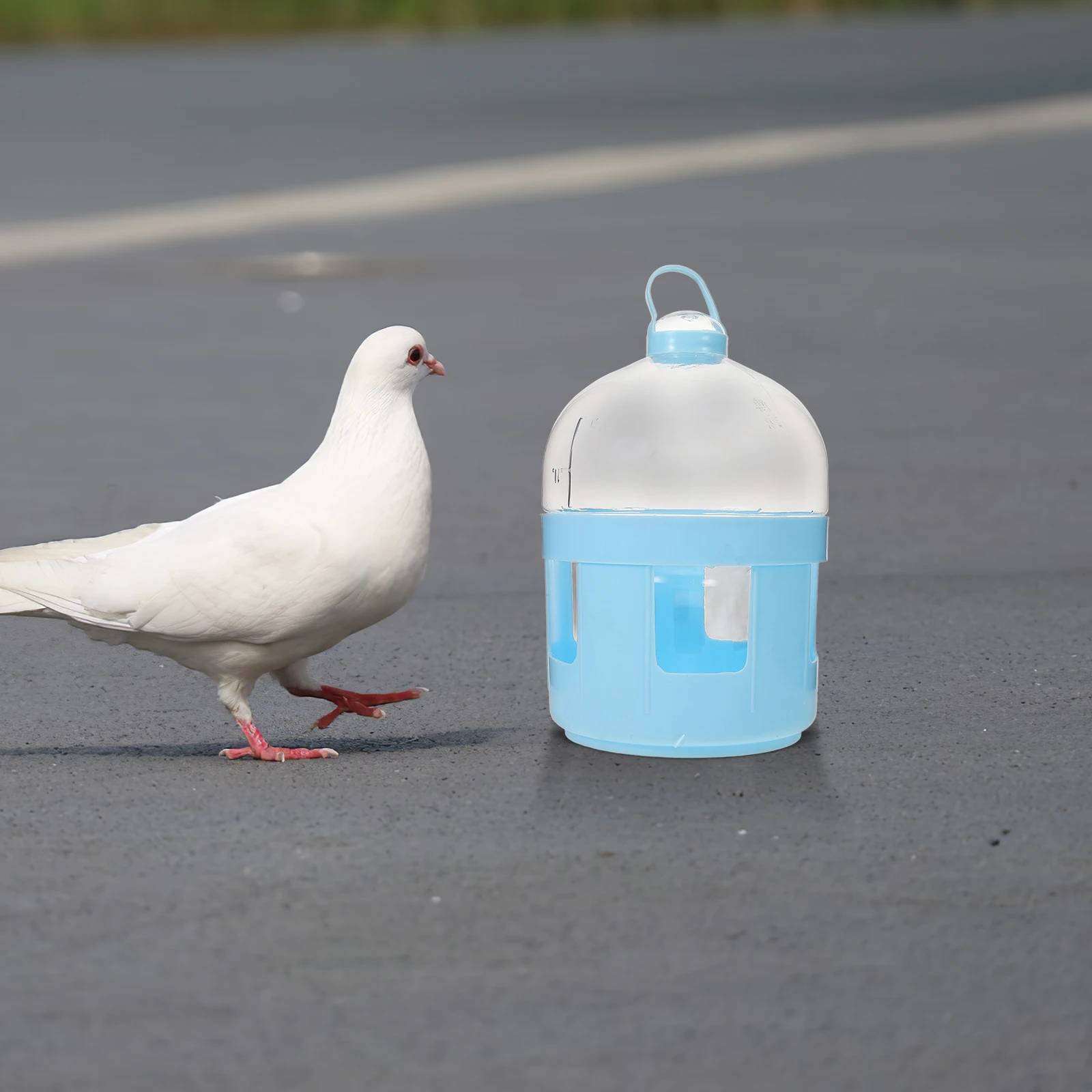

Pigeon Water Bottle 2L Transparent Bird Water Dispenser Feeder Large Capacity Chicken Quail Pet Waterer Container Tool Pigeon