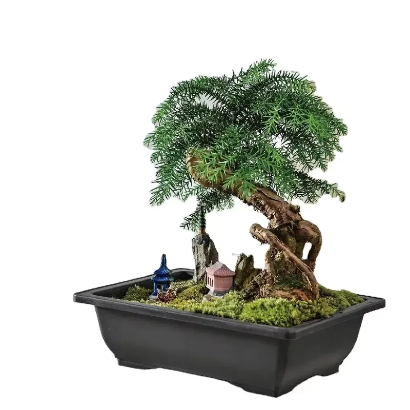 for Nursery Pot Plastic Planters Growing Pots Gardening Flower Succulent Bonsai Pots for Home Hotel