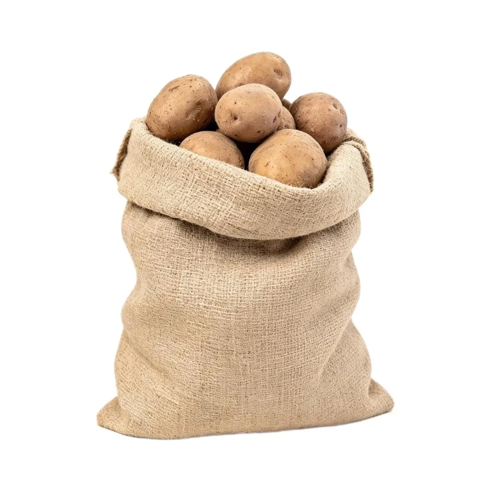 2 Pcs Burlap Sacks for Plants 60 x 100 CM Breathable Sackcloth Bags for Potato Storage and For outdoor Lawn Use