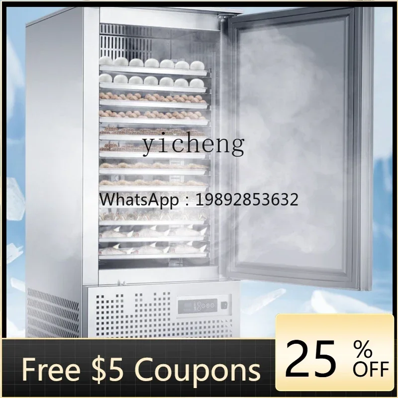 

A1 Commercial Low Temperature Freezer Sub-Zero Seafood Baking Plug Freezer Freezer