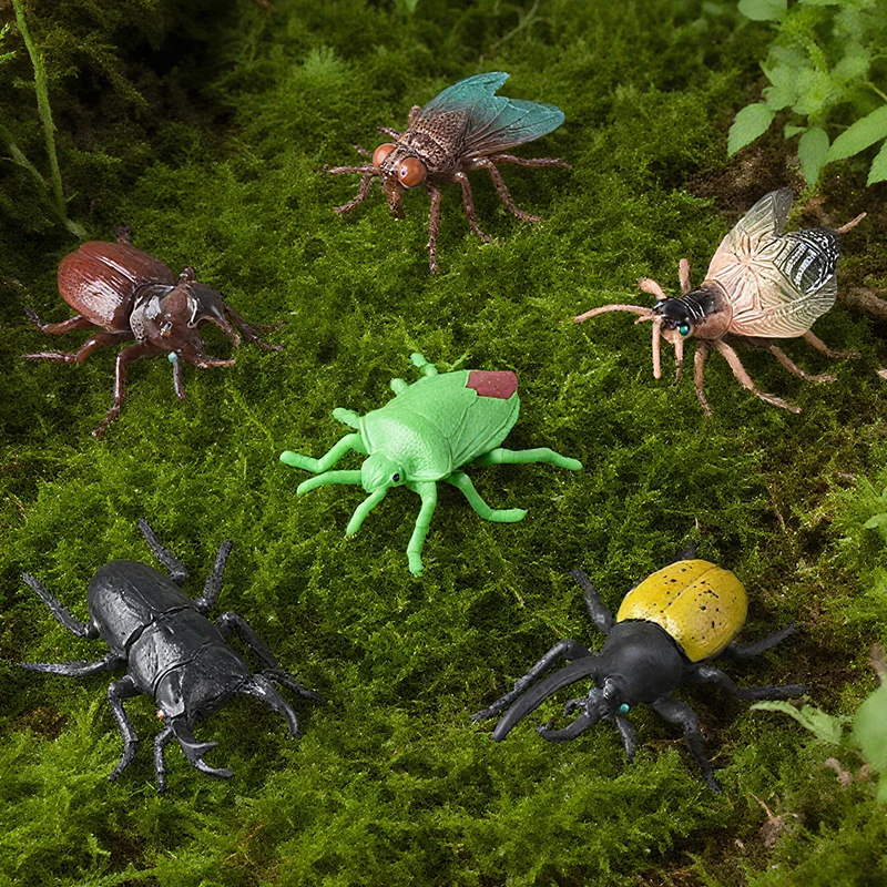 Oenux Insekt Tiere Modell Set Schmetterling Libelle Biene Käfer Spinne Skorpion Mantis Zikade Eidechse Garten Miniatur Kind Spielzeug Geschenk – Detail 20