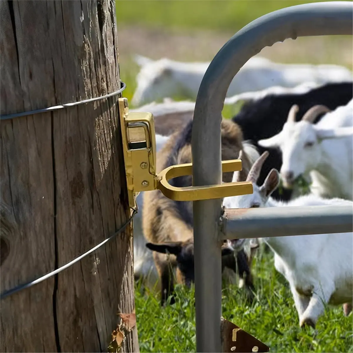2pcs Heavy-Duty One-Hand Gate for Farm, Ranch & Backyard Auto-Lock, Rust- Steel, Easy Install