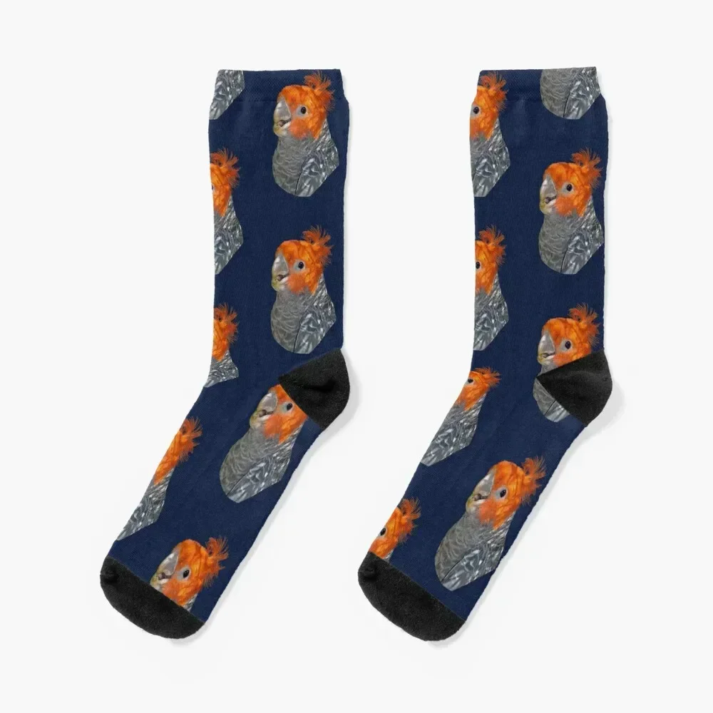

Gang-gang Cockatoo portrait 3 Socks aesthetic compression happy New year's Boy Child Socks Women's