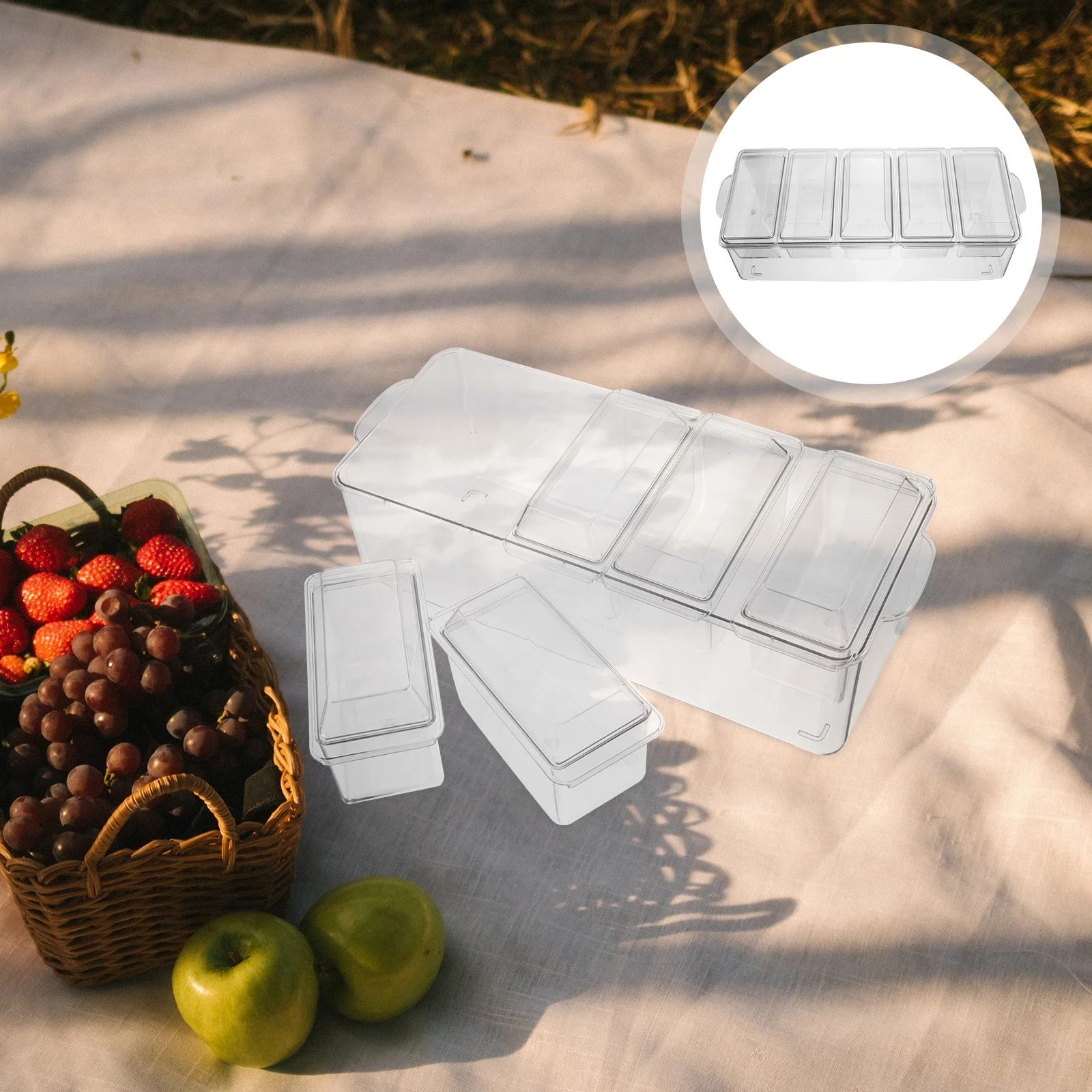 

1Set Chilled Salad Storage Box Food Grade Plastic Removable Compartments Multi Compartment Container for Outdoor Party Picnic