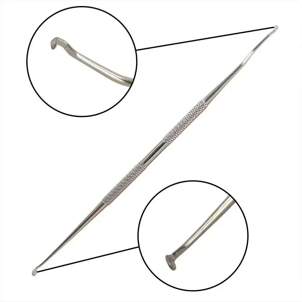 10PCS Stainless Steel Bee Queen Larva Transferring Needle  Beekeeping Shift Pin Worm Moving Grafting Tool Beekeeping Tools