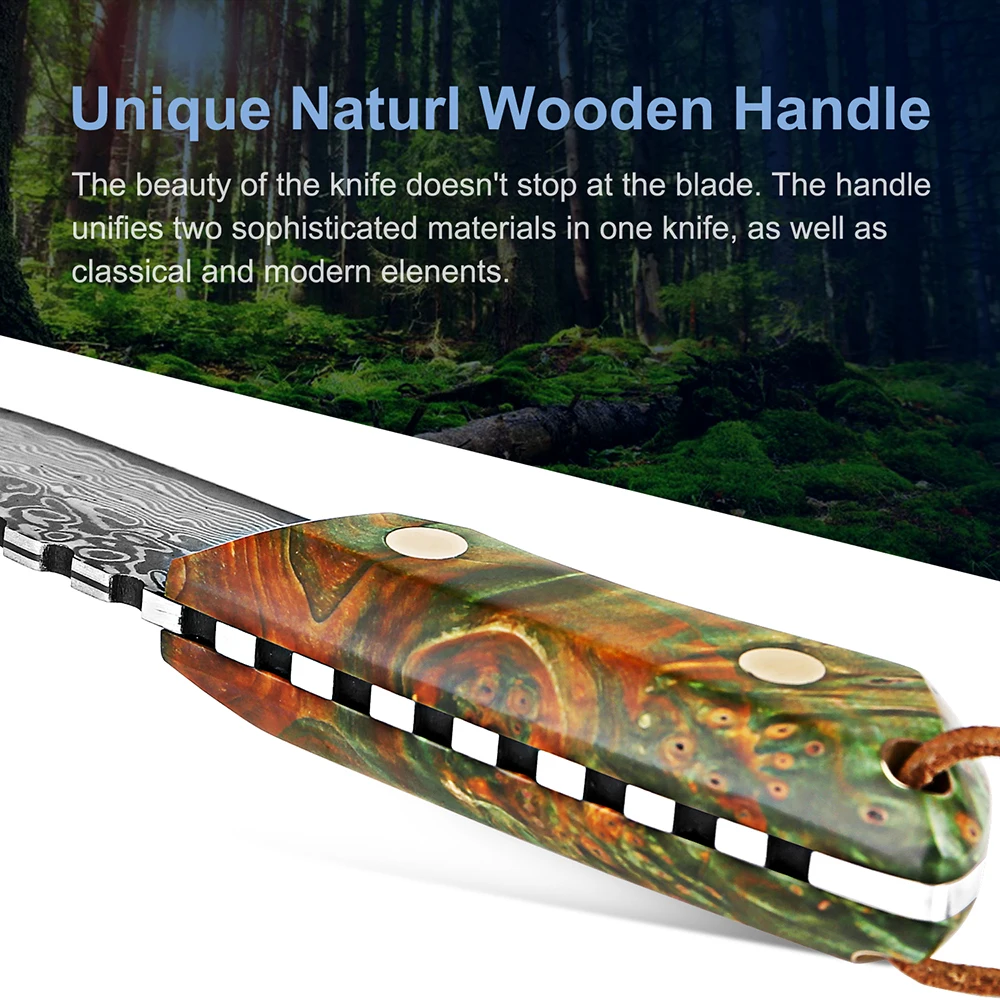 Full Tang Damascus Steel Utility Knife Kitchen Fruit Paring Slicing Pocket Knife Stabilized Wood Colorful Handle Super Sharp