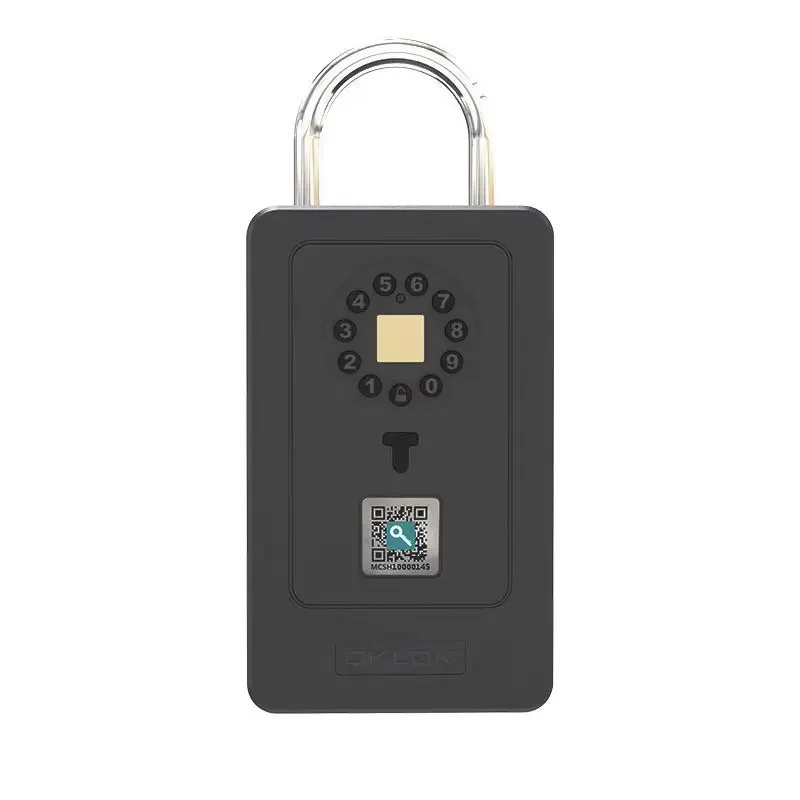 Smart lock decoration fingerprint password key box homestay wall-mounted storage box password lock metal anti-theft door cat eye