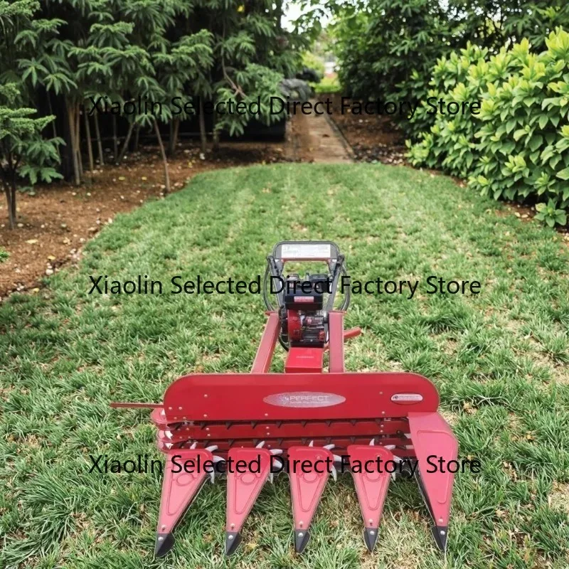 

Small harvestersOther farm machinery Two-wheeled tractors are related to small farm machinery