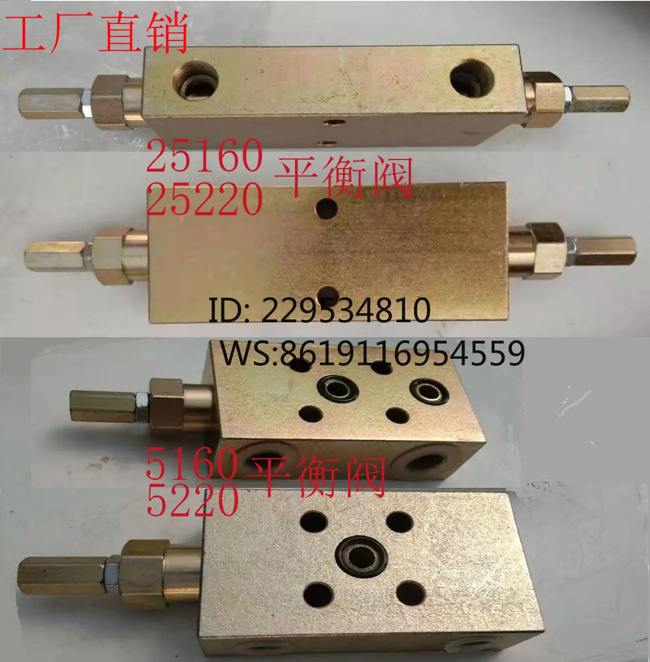 Hydraulic Two-Way Balance Valve 25160 25220A B for Engineering Crane Cylinder Lock Motor Compatible with Various Models