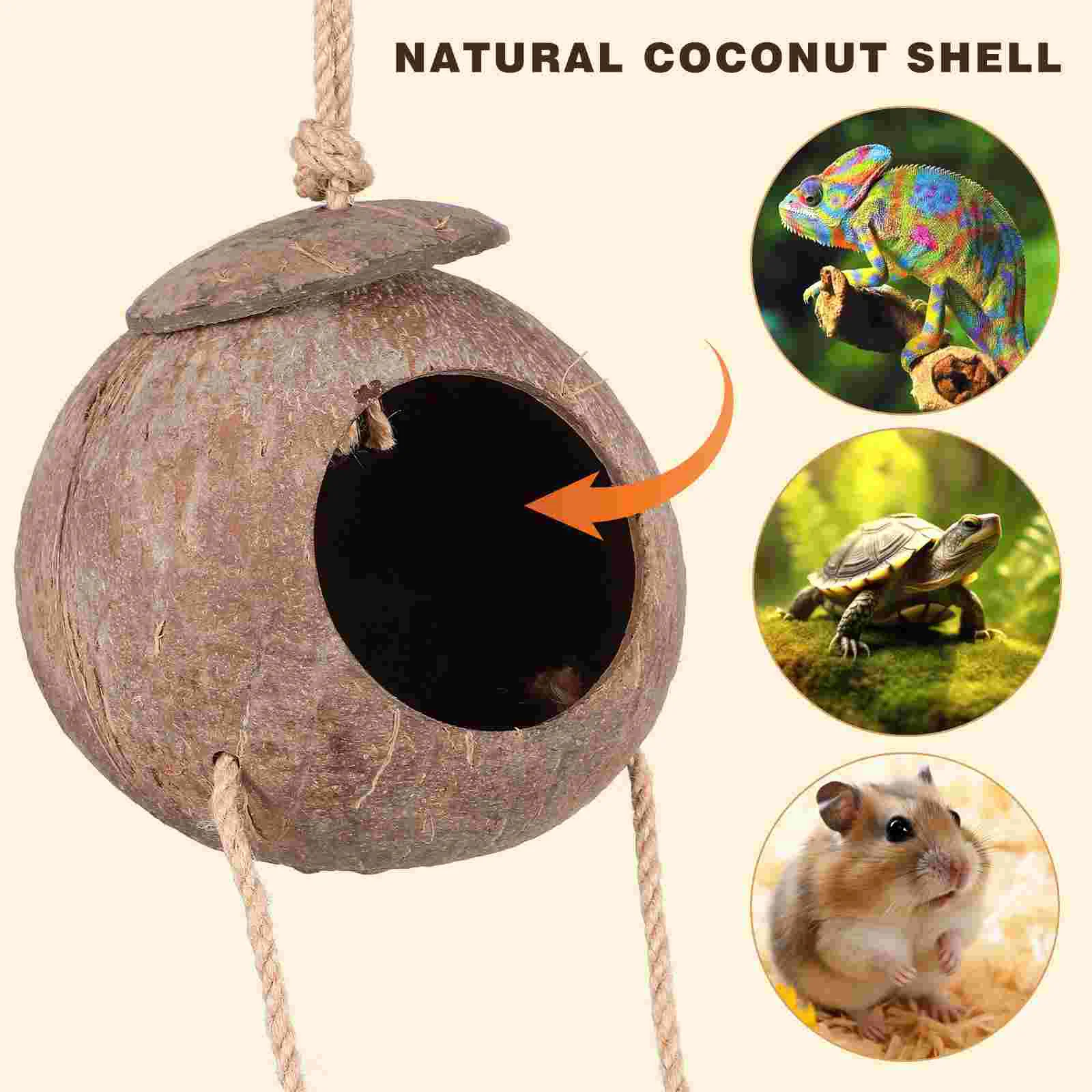 Lizard Hideout House Reptile Toy Animals Reptiles Rest Cave Place Turtle Tank Decoration Gecko Hides and Caves