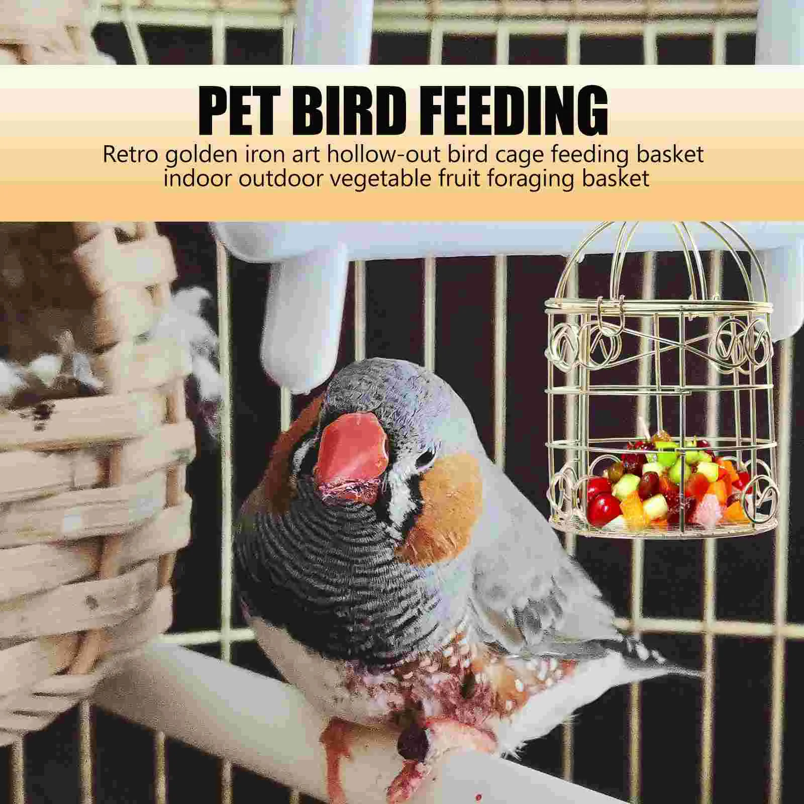 Bird Feeder Hollow Cage Indoor Outdoor Hollow-out Hanging Pet Wrought Iron Feeders for Outdoors