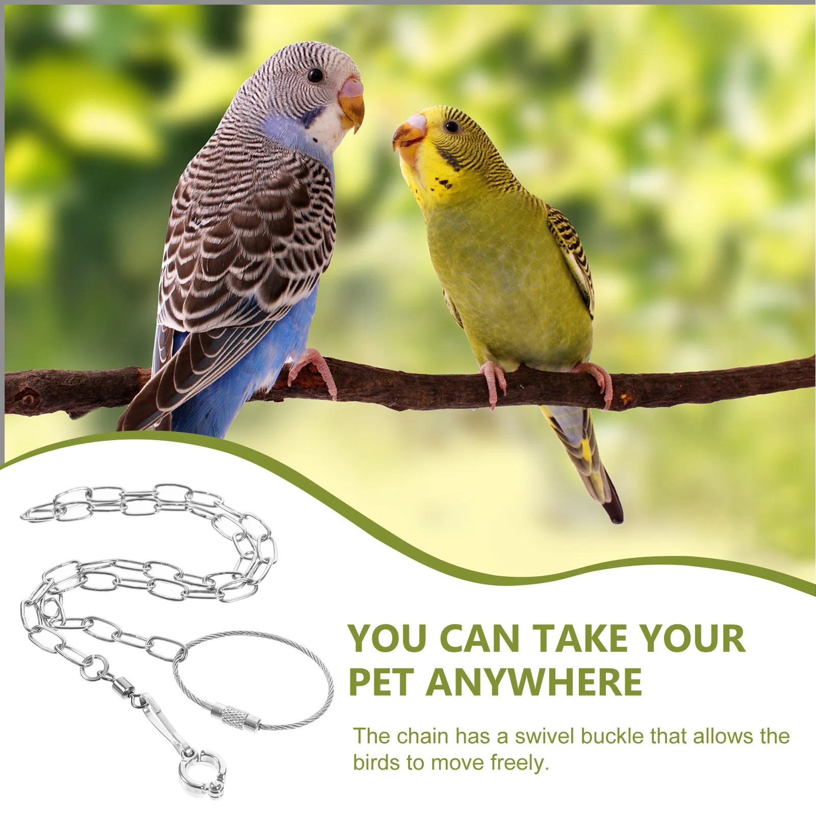 

Parrot Harness Leash Stainless Steel Chain Bird Training Rope Wear Resistant Swivel Buckle Flying Harness for Pet Bird Fly Train