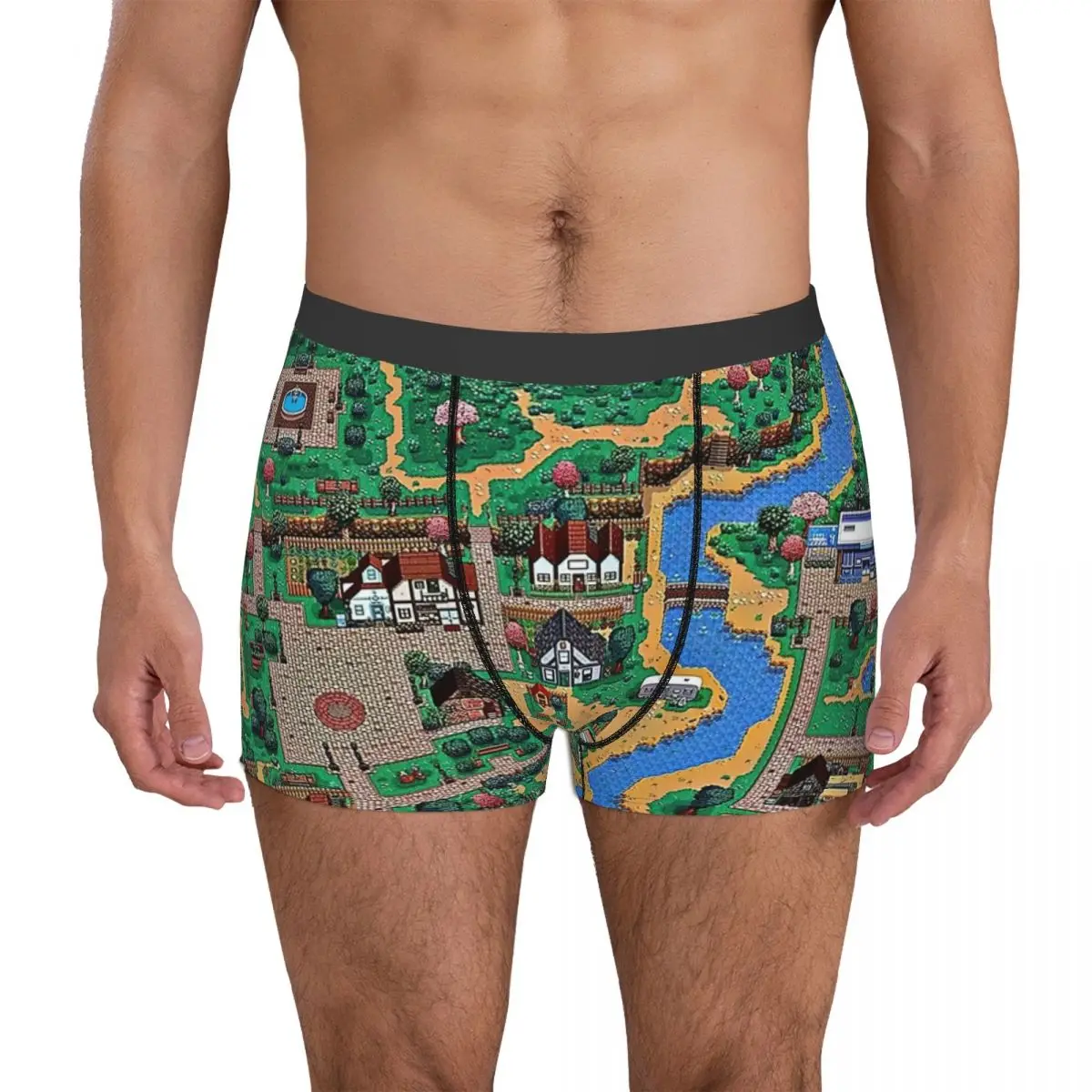 Stardew Valley Town Map Underpants Cotton Panties Men's Underwear Ventilate Shorts