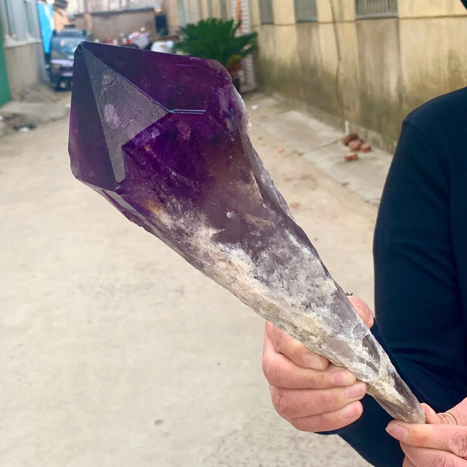 

Natural Amethyst Scepter Healing Specimen