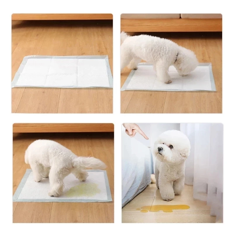 20pcs Super Absorbent Pet Diaper Dog Training Pee Pads Disposable Healthy Nappy Mat Pet Dog Diapers High Quality Male Dog Soft