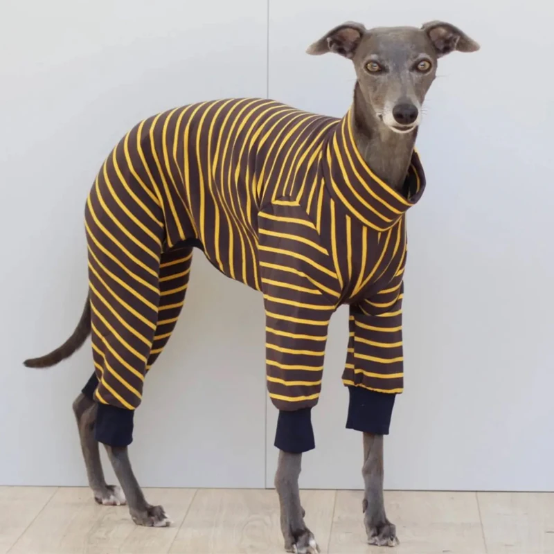 Thick Warm Italian Greyhound Striped Sweater Whippet Turtleneck Dog Clothes Stretch Soft Small Media Large Pet Clothing