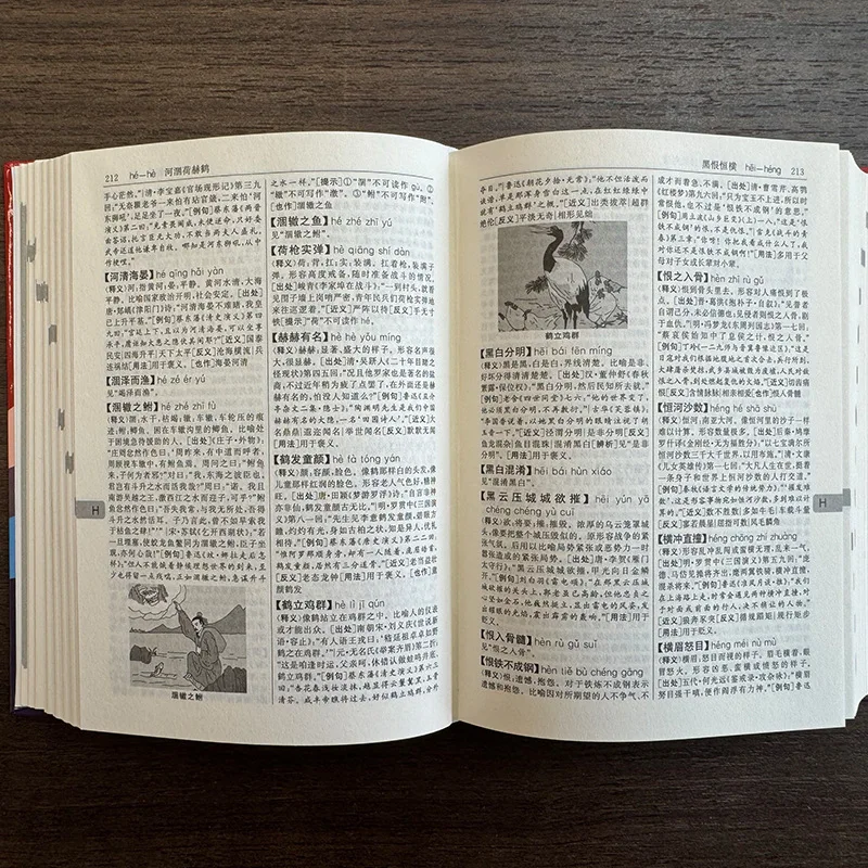 Multi Functional Idiom Dictionary, Comprehensive Idiom Dictionary for Primary and Secondary Schools, Modern Chinese Dictionary