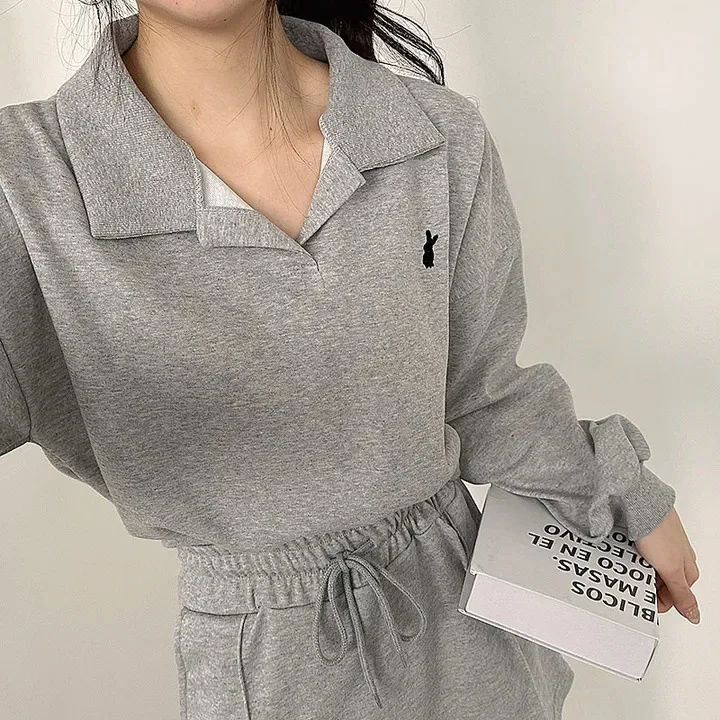 2023 Autumn Solid Casual Long Sleeve T-shirts Suits Female Pullover Women 2 Piece Shorts Sets Slim Knitted Polo Top Soft