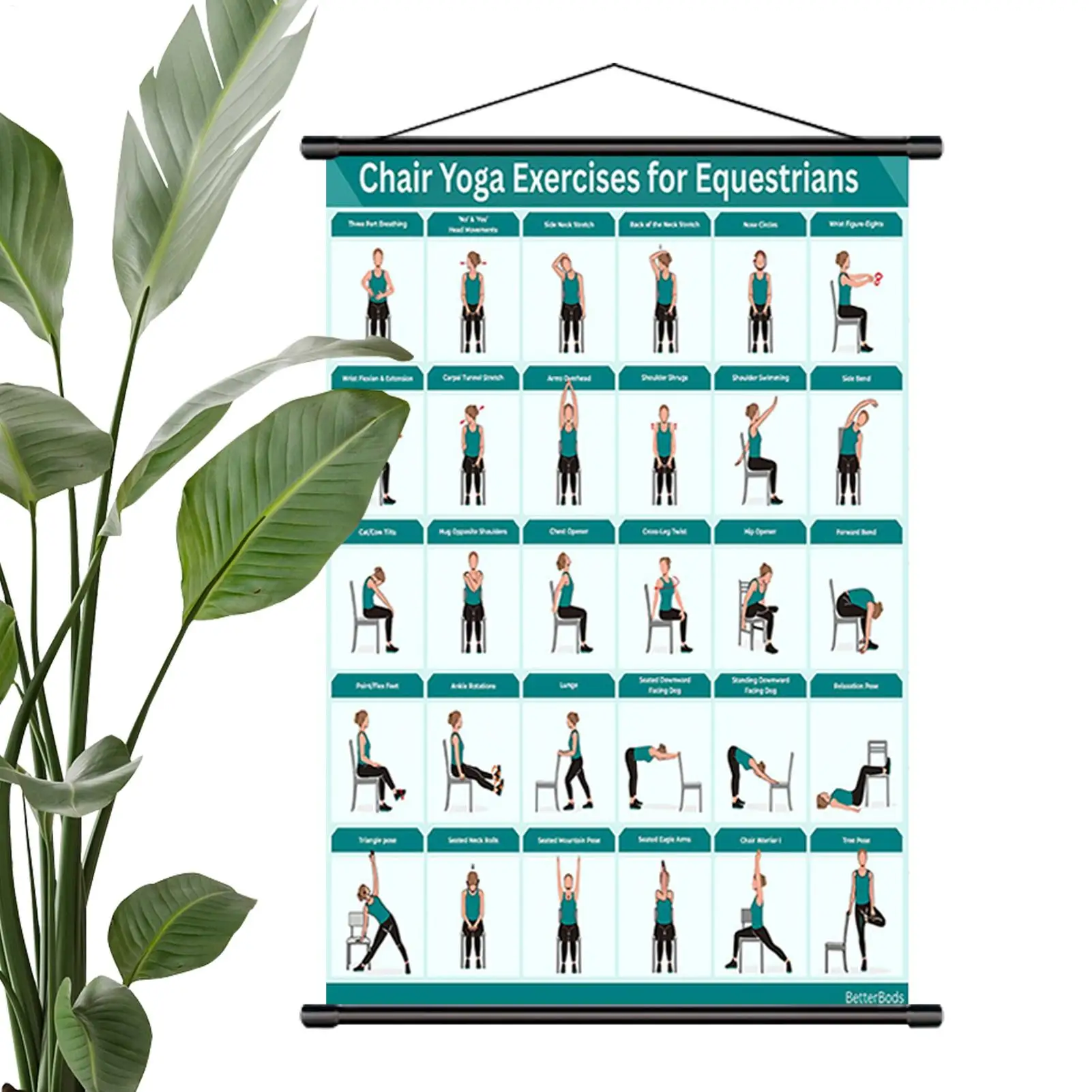 

Chair Yoga Poster, Step-by-Step Visual Exercise Chart for Seniors Beginners, Foldable Pilates Workout Guide for Home Gym