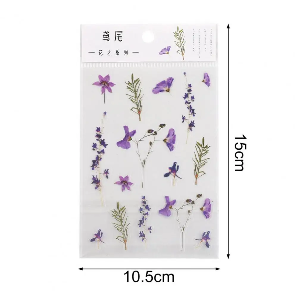 Autocollant imperméable auto-adhésif pour manuel, autocollant de bricolage, plante, nature, fleur, album, journal, enregistrement, contenu Johanna, annulation, utilisé, 2 pièces