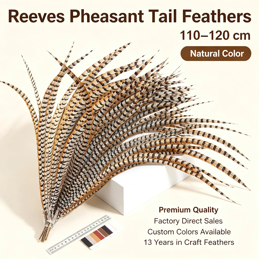 Long Reeves Pheasant Feathers Size 110-120cm/44-48 Inch Feather for Crafts DIY Art Home Decor
