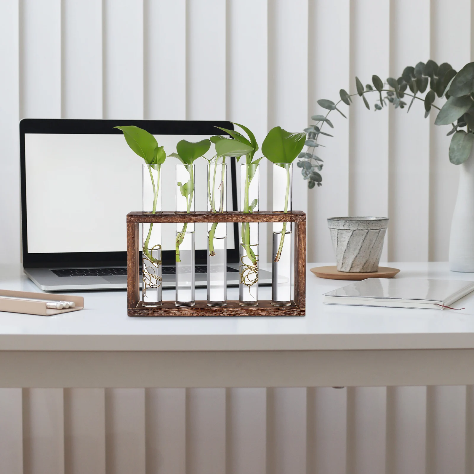 

1Set Plant Propagation Station Glass Test Tube Planter Wood Rack Wall Hanging Tabletop Terrarium Plant Holder Cleaning Brush